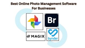 Best Online Photo Management Software For Businesses