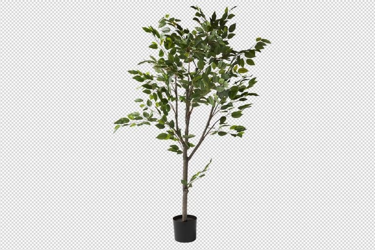 A potted artificial tree photo masking with green leaves, placed against a plain white background, featuring transparent object after masking.
