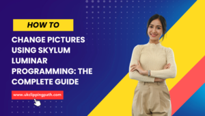 How to Use Skylum Luminar Programming