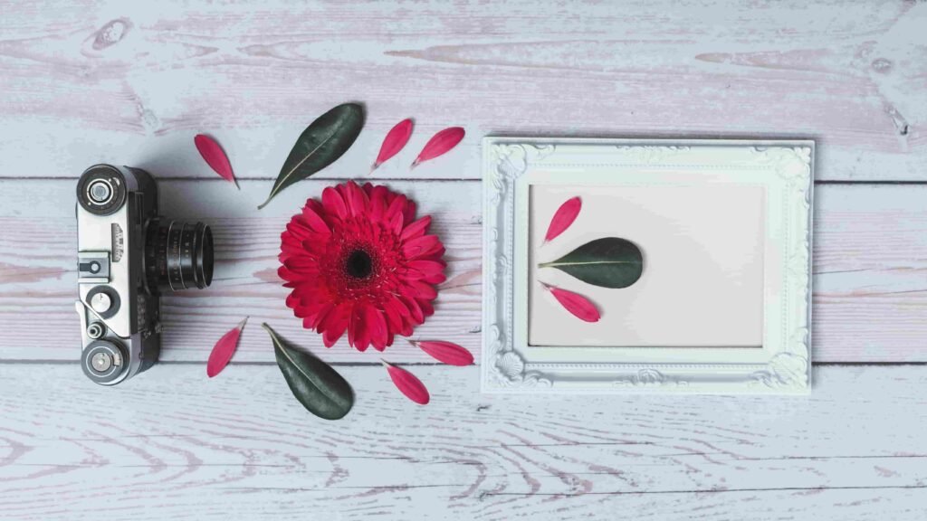 A camera and a flower in a frame